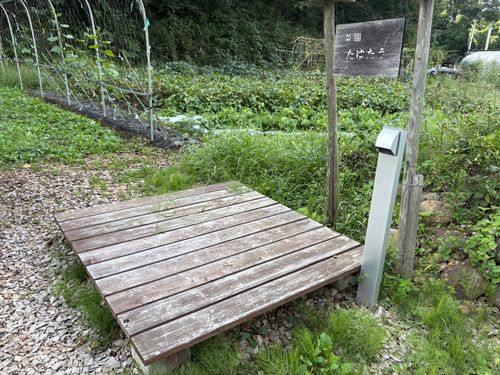 期間限定の独身✖︎読書🟰独書キャンプ🏕️ 奥州平泉温泉 そば庵 しづか亭 ソロキャンプ 区画サイト ぱぱちょさんのキャンプブログ CAMPiii（キャンピー） -キャンプ専用SNS キャンプのすべてがここに集まる-