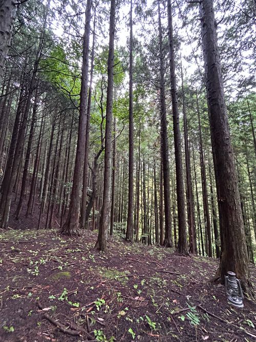 雨☔️の完ソロ🏕 ソロキャンプ フリーサイト Genさんのキャンプブログ CAMPiii（キャンピー） -キャンプ専用SNS キャンプのすべてがここに集まる-