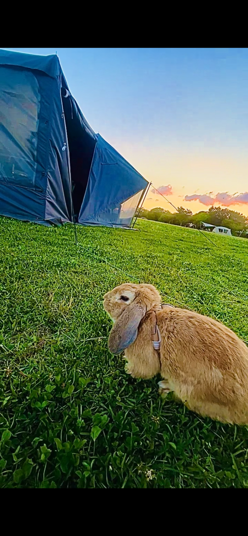 ようやく念願の&hellip;遺跡眺望おじおば🐰キャン△ in スノーピーク吉野ヶ里キャンプフィールド 〜 CAMP NO.196 ファミリーキャンプ グループキャンプ フリーサイト おじキャン△さんのキャンプブログ CAMPiii（キャンピー） -キャンプ専用SNS キャンプのすべてがここに集まる-