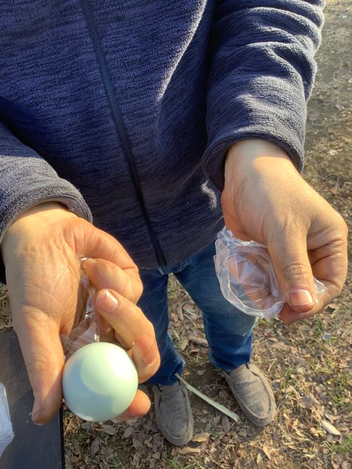 Vol.111 26/NO.01 新年1発目はココで‼️ 坂戸市 ソロキャンプ フリーサイト 🔥焚き火🔥さんのキャンプブログ CAMPiii（キャンピー） -キャンプ専用SNS キャンプのすべてがここに集まる-