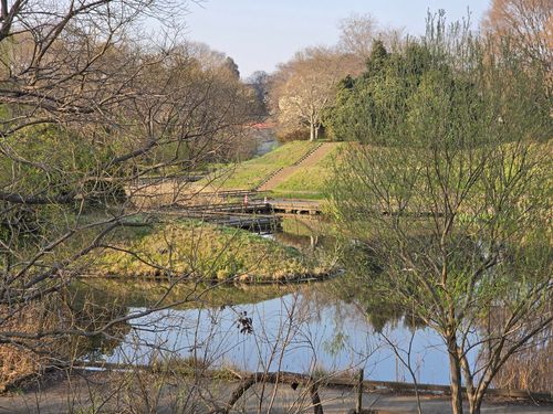 オッサン、清瀬に帰る 清瀬金山緑地公園 ソロキャンプ フリーサイト やんさんのキャンプブログ CAMPiii（キャンピー） -キャンプ専用SNS キャンプのすべてがここに集まる-