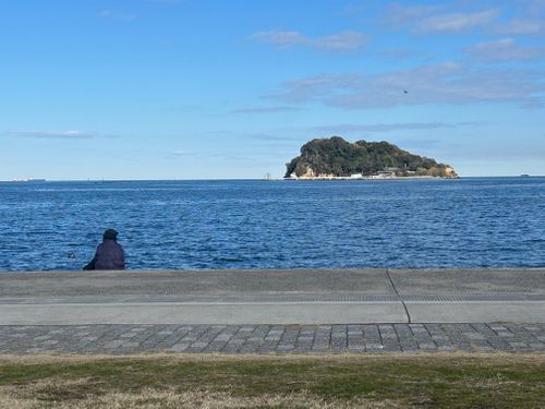 タープ忘れのチェアリング うみかぜ公園 ソロキャンプ フリーサイト Genさんのキャンプブログ CAMPiii（キャンピー） -キャンプ専用SNS キャンプのすべてがここに集まる-