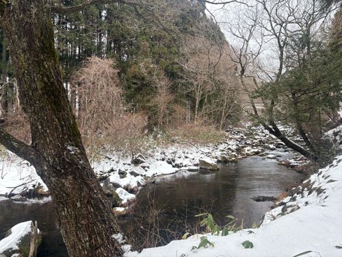 初るぽぽの森〜雪中〜 るぽぽの森 （るぽぽかわさき＆笹谷オートキャンプ場） ソロキャンプ 区画サイト オートサイト ぱぱちょさんのキャンプブログ CAMPiii（キャンピー） -キャンプ専用SNS キャンプのすべてがここに集まる-