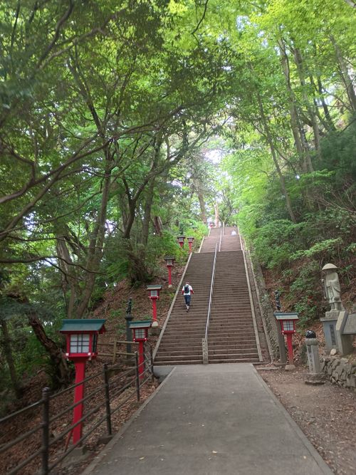ビーチde軍幕デーキャンプ⇛高尾山 平塚八景 平塚砂丘夕映え ソロキャンプ フリーサイト ウエィダーさんのキャンプブログ CAMPiii（キャンピー） -キャンプ専用SNS キャンプのすべてがここに集まる-
