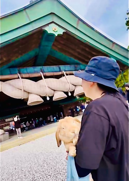 神在月に神の遣い《きなこ》と一緒に…出雲参拝おじおばうさキャン△ in 夢の森うさぎキャンプ場 〜 CAMP NO. うさぎ森林公園 夢の森うさぎ ファミリーキャンプ グループキャンプ 区画サイト おじキャン△さんのキャンプブログ CAMPiii(キャンピー) -キャンプ専用SNS キャンプのすべてがここに集まる-
