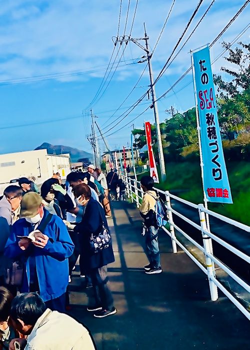 秋穂の名物《車海老を喰らう》おじうさグルキャン△ in 美濃ケ浜海浜公園キャンプ場 〜 CAMP NO.160 美濃ケ浜海浜広場 ソロキャンプ ファミリーキャンプ グループキャンプ フリーサイト おじキャン△さんのキャンプブログ CAMPiii（キャンピー） -キャンプ専用SNS キャンプのすべてがここに集まる-