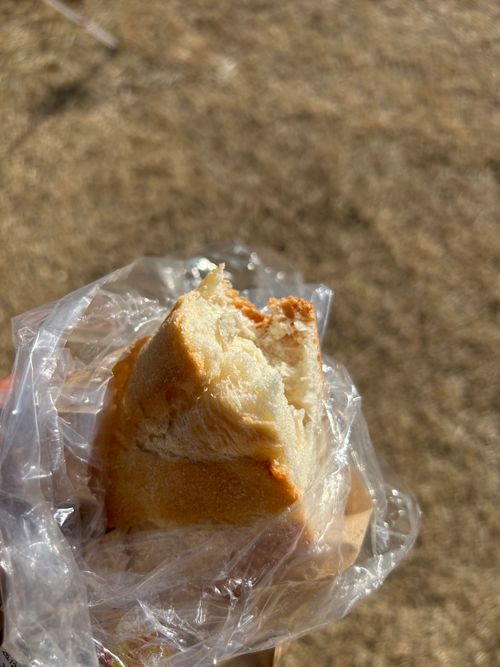 猫様と猫様に食われたパンと猫様に食われたパンを戴く下僕 大芦高原キャンプ場 ソロキャンプ フリーサイト おくさんさんのキャンプブログ CAMPiii（キャンピー） -キャンプ専用SNS キャンプのすべてがここに集まる-