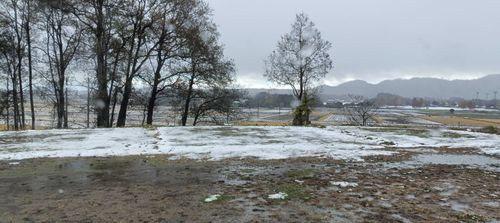 雪予報☃お籠りキャンプ予定が。。。ﾄﾎﾎ… 田園びより ファミリーキャンプ フリーサイト オートサイト 区画サイト sangさんのキャンプブログ CAMPiii（キャンピー） -キャンプ専用SNS キャンプのすべてがここに集まる-