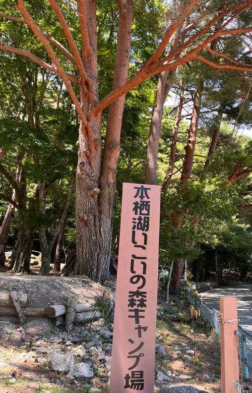 本栖湖の透明度に感激でした*.(๓´͈ ˘ `͈๓).* 本栖湖いこいの森キャンプ場 グループキャンプ 区画サイト ぷりんさんのキャンプブログ CAMPiii(キャンピー) -キャンプ専用SNS キャンプのすべてがここに集まる-