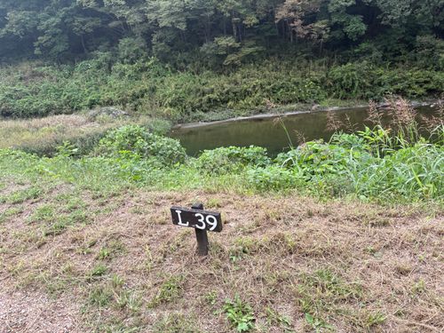 スーツケースキャンプ…どこでも行けるための練習をしよう! 長瀞キャンプヴィレッジ ソロキャンプ 区画サイト ぷりんさんのキャンプブログ CAMPiii(キャンピー) -キャンプ専用SNS キャンプのすべてがここに集まる-