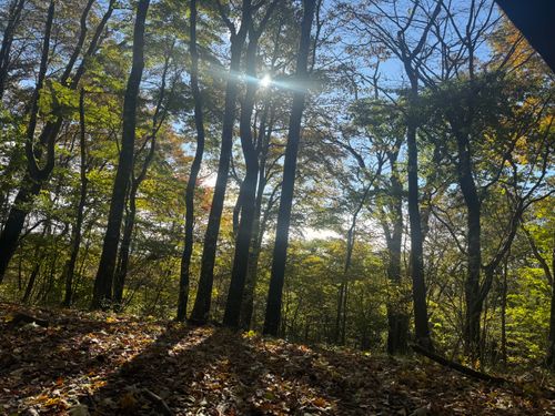 pica表富士2025シーズン終了 PICA表富士 ソロキャンプ グループキャンプ フリーサイト まっつんさんのキャンプブログ CAMPiii（キャンピー） -キャンプ専用SNS キャンプのすべてがここに集まる-