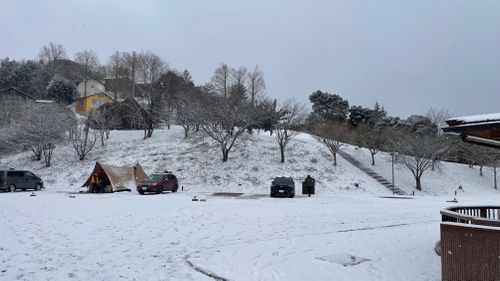 宍道湖元旦キャンプ 宍道ふるさと森林公園 ファミリーキャンプ 区画サイト オートサイト フォレキャンさんのキャンプブログ CAMPiii（キャンピー） -キャンプ専用SNS キャンプのすべてがここに集まる-