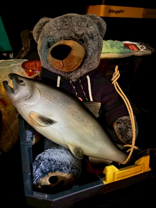 初めましてと、お久しぶり。2年ぶりのミリキャン参加。 富士本栖湖リゾート グループキャンプ フリーサイト HARUMAGEDONさんのキャンプブログ CAMPiii（キャンピー） -キャンプ専用SNS キャンプのすべてがここに集まる-