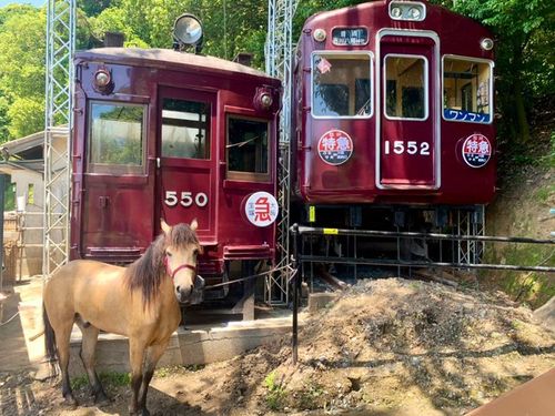 初幕。フォーエバー&hellip; 大阪府 ソロキャンプ フリーサイト ぞのさんさんのキャンプブログ CAMPiii（キャンピー） -キャンプ専用SNS キャンプのすべてがここに集まる-