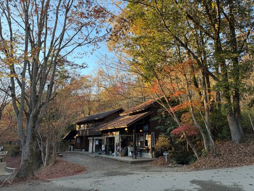 九州伊勢えびキャンプ🦞̥@紅葉観に行こーよ🍁 阿蘇レインボーバレー ファミリーキャンプ オートサイト ぐうたら夫婦さんのキャンプブログ CAMPiii（キャンピー） -キャンプ専用SNS キャンプのすべてがここに集まる-