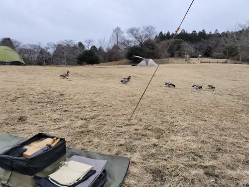 富士キャン 田貫湖キャンプ場 ソロキャンプ グループキャンプ フリーサイト たかたかぽんたさんのキャンプブログ CAMPiii（キャンピー） -キャンプ専用SNS キャンプのすべてがここに集まる-