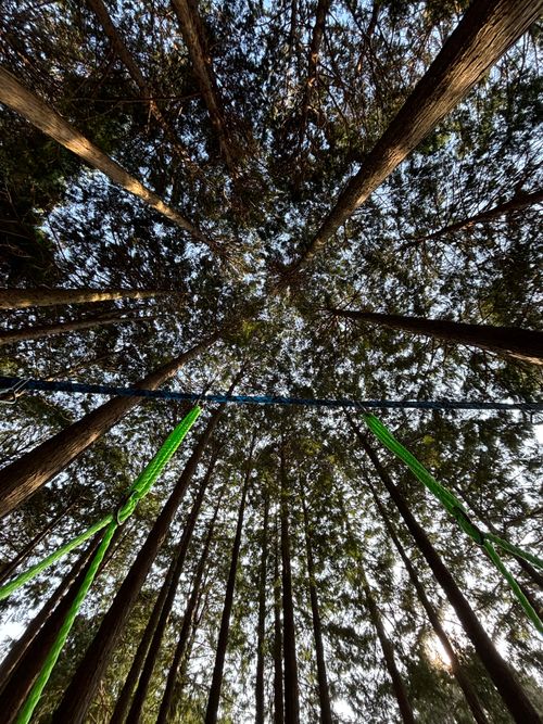 中伊豆へ！ LScamp中伊豆 ソロキャンプ オートサイト 区画サイト marpyさんのキャンプブログ CAMPiii（キャンピー） -キャンプ専用SNS キャンプのすべてがここに集まる-