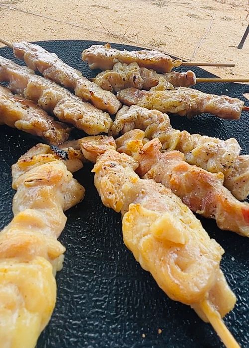 秋穂の名物《車海老を喰らう》おじうさグルキャン△ in 美濃ケ浜海浜公園キャンプ場 〜 CAMP NO.160 美濃ケ浜海浜広場 ソロキャンプ ファミリーキャンプ グループキャンプ フリーサイト おじキャン△さんのキャンプブログ CAMPiii（キャンピー） -キャンプ専用SNS キャンプのすべてがここに集まる-