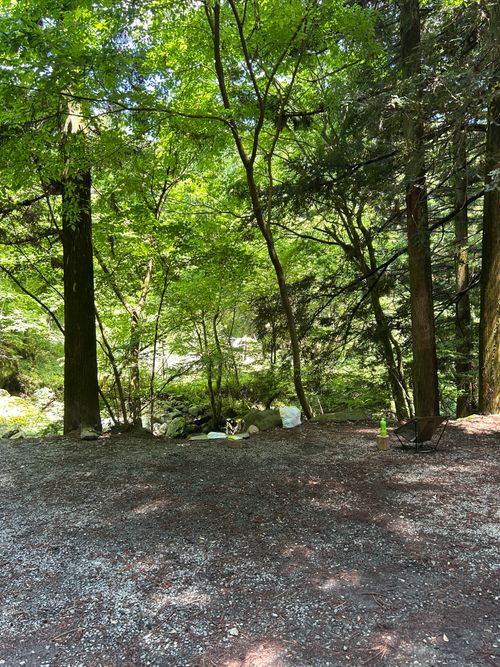 新緑キャンプ🏕 椿荘オートキャンプ場 ソロキャンプ 区画サイト Genさんのキャンプブログ CAMPiii（キャンピー） -キャンプ専用SNS キャンプのすべてがここに集まる-