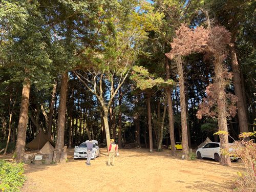 妖精の運営するキャンプ場 the country (キャンプ場) ソロキャンプ 区画サイト オートサイト ぺちゃさんのキャンプブログ CAMPiii（キャンピー） -キャンプ専用SNS キャンプのすべてがここに集まる-