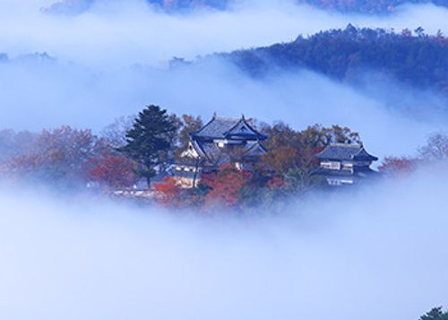 第90話　今回は岡山観光記事っす 弥高山公園キャンプ場 ソロキャンプ フリーサイト ちろ犬さんのキャンプブログ CAMPiii（キャンピー） -キャンプ専用SNS キャンプのすべてがここに集まる-