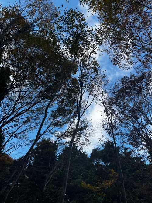 CAMPiii（キャンピー） RUGGED campさんのキャンプブログ 初ソロキャンプ 