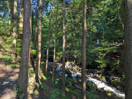 新幕試し張りソロ クアハウス山小屋 ソロキャンプ 区画サイト 週末スナフキンさんのキャンプブログ CAMPiii(キャンピー) -キャンプ専用SNS キャンプのすべてがここに集まる-