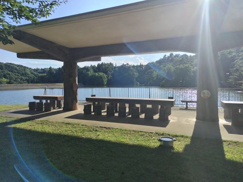真夏のキャンプ でも池の近くは過ごしやすく、穴場キャンプ場だった 大平森林公園 ファミリーキャンプ 区画サイト オートサイト セツさんのキャンプブログ CAMPiii(キャンピー) -キャンプ専用SNS キャンプのすべてがここに集まる-
