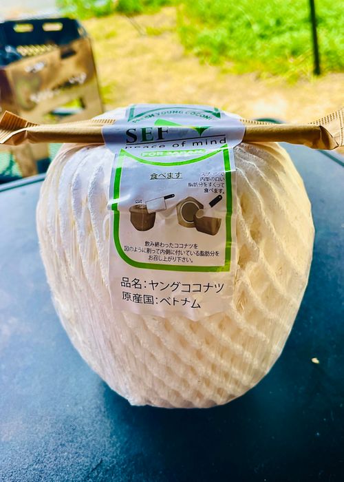 夏の海で秋穂の特産品を堪能する旨いものおじキャン△ in 美濃ヶ浜海浜公園 〜 CAMP NO.205 美濃ケ浜海浜広場 ソロキャンプ フリーサイト おじキャン△さんのキャンプブログ CAMPiii（キャンピー） -キャンプ専用SNS キャンプのすべてがここに集まる-