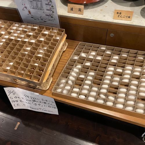北陸遠征キャンプ（石川編） 白山吉野オートキャンプ場 ファミリーキャンプ 区画サイト フォレキャンさんのキャンプブログ CAMPiii（キャンピー） -キャンプ専用SNS キャンプのすべてがここに集まる-
