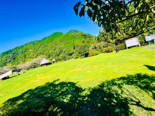 待望の晴れ晴れ☀️おじおばうさキャン△ in 阿武川温泉公園キャンプ場 〜 CAMP NO.155 萩阿武川温泉公園(キャンプ可) ファミリーキャンプ グループキャンプ フリーサイト おじキャン△さんのキャンプブログ CAMPiii(キャンピー) -キャンプ専用SNS キャンプのすべてがここに集まる-