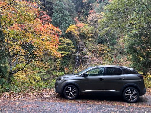 ま、まさかの ソロキャンプ YOTIさんのキャンプブログ CAMPiii(キャンピー) -キャンプ専用SNS キャンプのすべてがここに集まる-