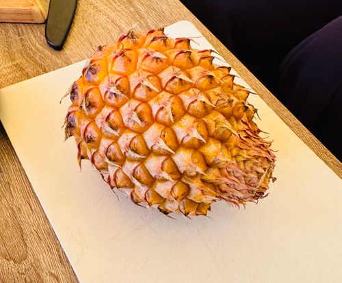 キャンプ&rarr;えびせんべい&rarr;さわやかコース やまぼうしオートキャンプ場 ファミリーキャンプ フリーサイト オートサイト EJIさんのキャンプブログ CAMPiii（キャンピー） -キャンプ専用SNS キャンプのすべてがここに集まる-