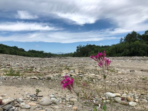 2回目のキャンプ スノーピーク十勝ポロシリキャンプフィールド ファミリーキャンプ フリーサイト beruさんのキャンプブログ CAMPiii（キャンピー） -キャンプ専用SNS キャンプのすべてがここに集まる-