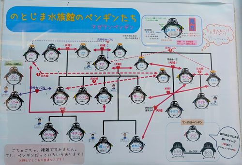 北陸を楽しむ！！Vol.1 能登島家族旅行村Ｗｅランド ソロキャンプ グループキャンプ 区画サイト オートサイト ちあさんのキャンプブログ CAMPiii（キャンピー） -キャンプ専用SNS キャンプのすべてがここに集まる-