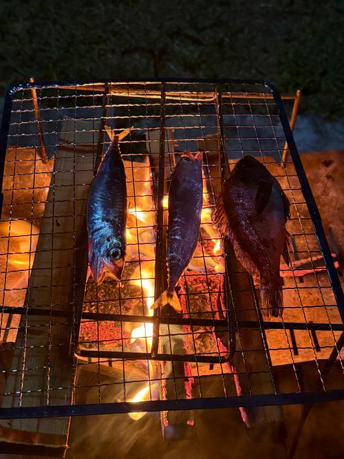 離島キャンプ ソロキャンプ 区画サイト シルバーズさんのキャンプブログ CAMPiii（キャンピー） -キャンプ専用SNS キャンプのすべてがここに集まる-