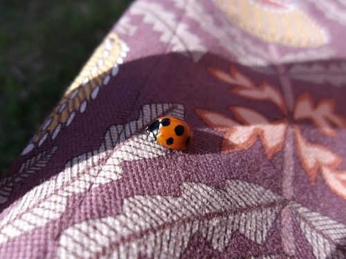 キャンプでメンタルトレーニング💪 はやぷささんのキャンプブログ CAMPiii（キャンピー） -キャンプ専用SNS キャンプのすべてがここに集まる-