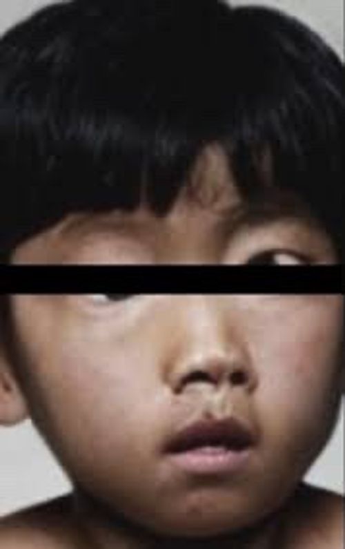 ソロでホラー小説読むの捗りすぎで草 ソロキャンプ フリーサイト ぼちさんのキャンプブログ CAMPiii(キャンピー) -キャンプ専用SNS キャンプのすべてがここに集まる-