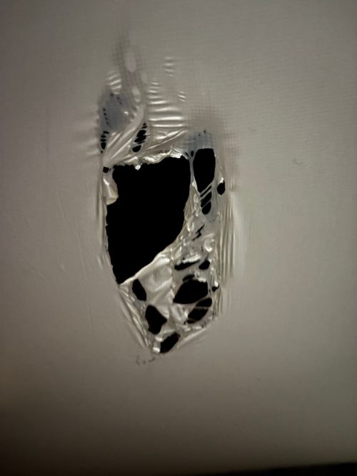 第92話　尾道ラーメンからの観光しながら島根に向かうー　話数的には92話なんだけど、これが100記事目になるのだー 平田森林公園キャンプ場 ソロキャンプ フリーサイト ちろ犬さんのキャンプブログ CAMPiii（キャンピー） -キャンプ専用SNS キャンプのすべてがここに集まる-