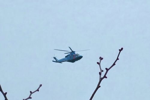 健康祈願。 大阪府 ソロキャンプ フリーサイト ぞのさんさんのキャンプブログ CAMPiii（キャンピー） -キャンプ専用SNS キャンプのすべてがここに集まる-