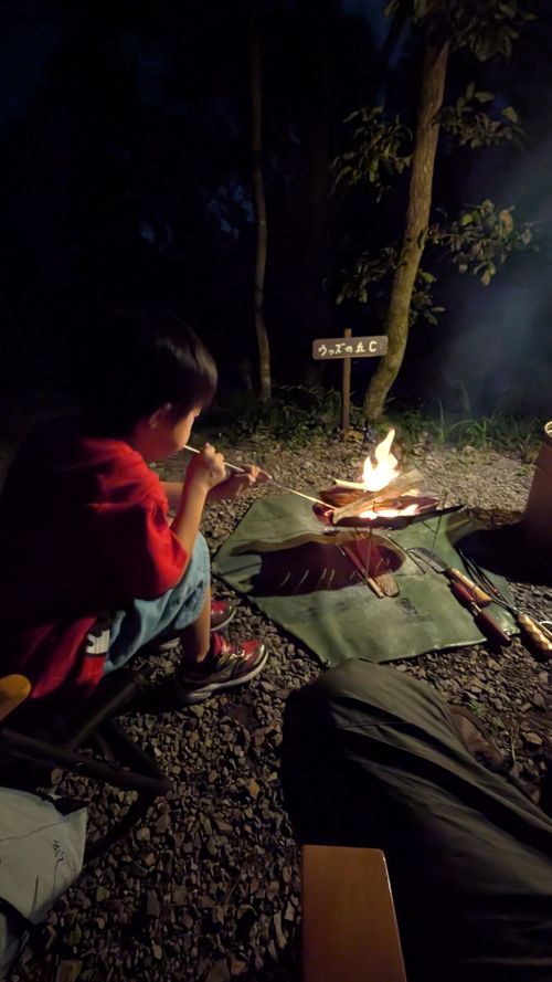 クワガタ探しにクヌギの森へ🌲 CAMP×WOODS ファミリーキャンプ 区画サイト オートサイト ヒゲキャンさんのキャンプブログ CAMPiii（キャンピー） -キャンプ専用SNS キャンプのすべてがここに集まる-