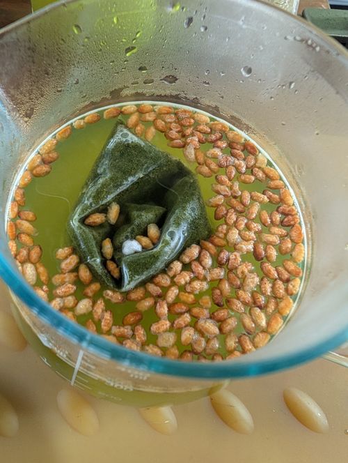 CAMPiii(キャンピー) おうこさんのキャンプブログ リュック忘れた日 赤城山オートキャンプ場