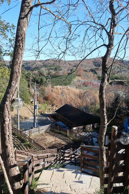 初めてのキャンプ場です😊 南山城村の隠れ家 ソロキャンプ 区画サイト シゲさんのキャンプブログ CAMPiii（キャンピー） -キャンプ専用SNS キャンプのすべてがここに集まる-