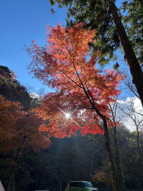 紅葉🍁キャンプ 山伏オートキャンプ場 ソロキャンプ グループキャンプ 区画サイト Genさんのキャンプブログ CAMPiii（キャンピー） -キャンプ専用SNS キャンプのすべてがここに集まる-