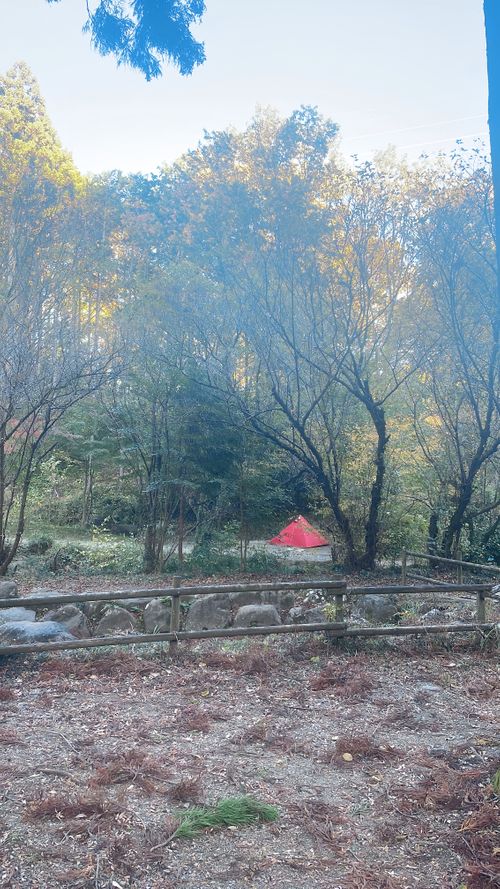 強風🌬️を振り返る 小田原市いこいの森 RECAMP おだわら ソロキャンプ 区画サイト kana_haruさんのキャンプブログ CAMPiii（キャンピー） -キャンプ専用SNS キャンプのすべてがここに集まる-