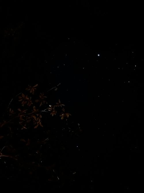 花見キャンプのはずなのに🤔 伊豆キャンパーズヴィレッジ ソロキャンプ フリーサイト Genさんのキャンプブログ CAMPiii（キャンピー） -キャンプ専用SNS キャンプのすべてがここに集まる-