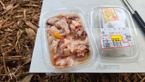 樹齢何年？という大きな木の下で&hellip; TSURUMAI CAMP PARK（ツルマイ キャンプ パーク） ソロキャンプ 区画サイト ke-nさんのキャンプブログ CAMPiii（キャンピー） -キャンプ専用SNS キャンプのすべてがここに集まる-