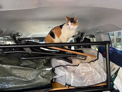 Newアイテムでぐうたらキャンプ😊 火打の森キャンプ場 ファミリーキャンプ オートサイト まつけんさんのキャンプブログ CAMPiii（キャンピー） -キャンプ専用SNS キャンプのすべてがここに集まる-