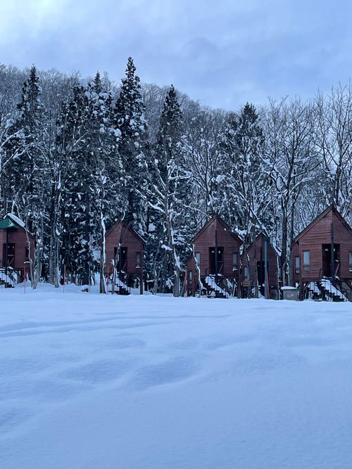 粉雪が満月にキラキラ光る露天風呂で缶ビールをプシュッ！今年のキャンプスタート！ とことん山キャンプ場 ファミリーキャンプ フリーサイト ロコCamp0828さんのキャンプブログ CAMPiii（キャンピー） -キャンプ専用SNS キャンプのすべてがここに集まる-