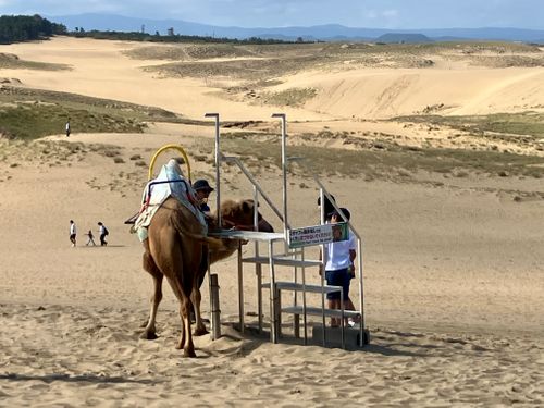 鳥取スゴッ! もう砂漠じゃん 行ったことないけどw 西のふもとっぱらMasumizu天空キャンプ場 ソロキャンプ フリーサイト けんじさんのキャンプブログ CAMPiii(キャンピー) -キャンプ専用SNS キャンプのすべてがここに集まる-